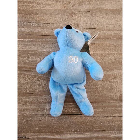 Nutrisystem Celebration Bears 20 & 30 Lbs Purple & Blue Plush Collectible - Picture 7 of 15